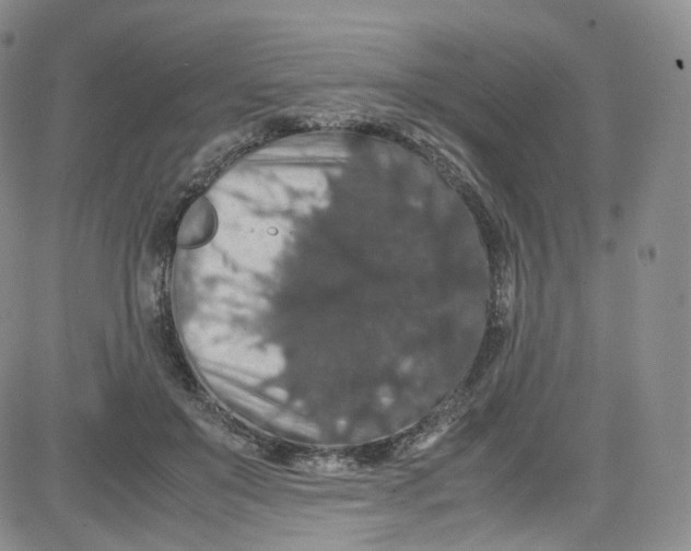 X0000080730503200701051102