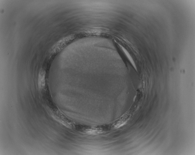 X0000080730504200701051102