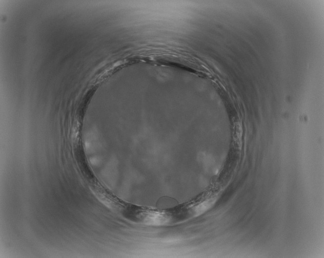 X0000080730507200701051102