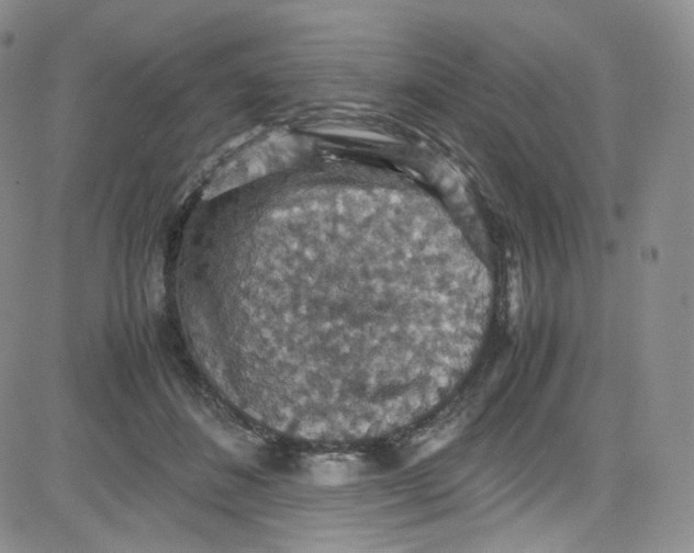 X0000080730508200701051102