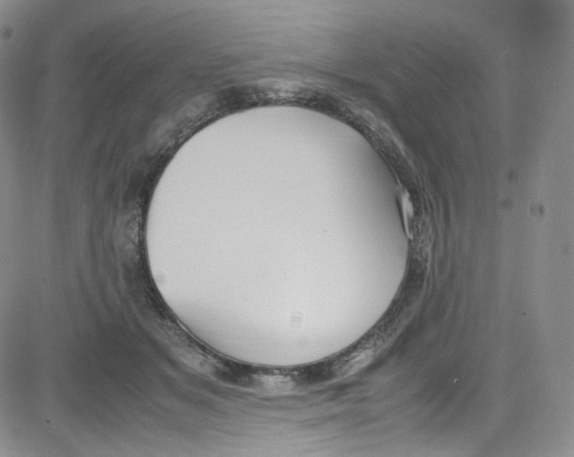 X0000080730509200701051102