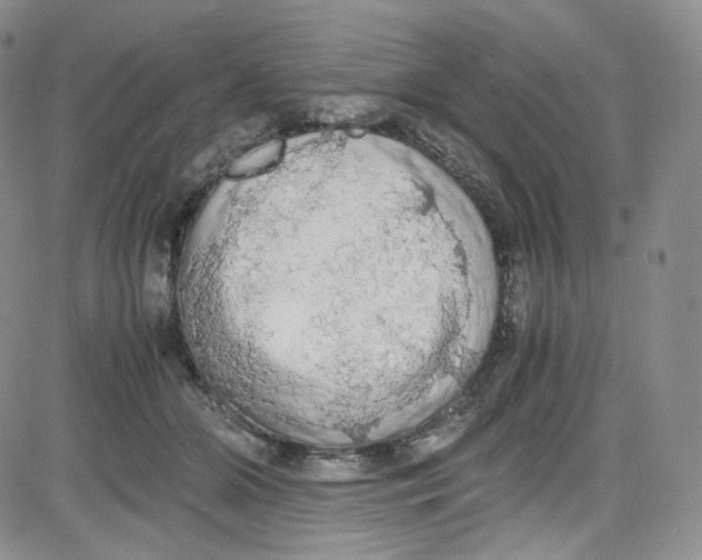 X0000080730510200701051102