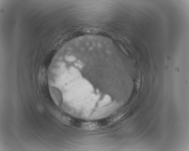 X0000080730511200701051102