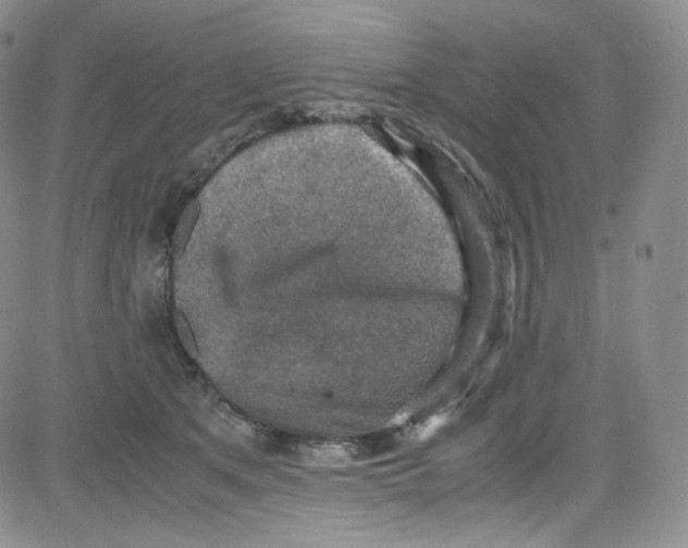 X0000080730513200701051102