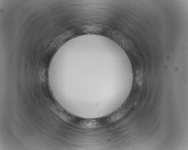 X0000080730514200701051102