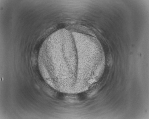 X0000080730515200701051102