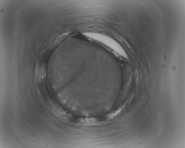 X0000080730517200701051102