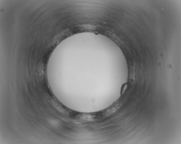 X0000080730518200701051102