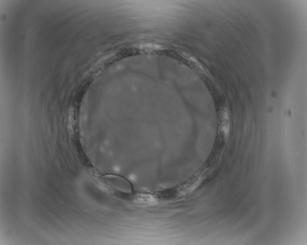 X0000080730519200701051102