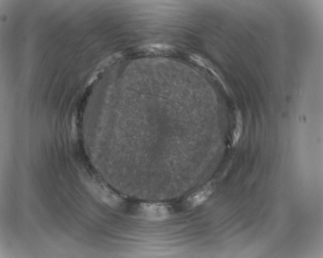 X0000080730520200701051102