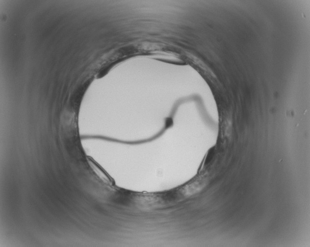 X0000080730521200701051102