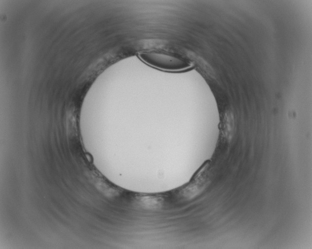 X0000080730522200701051102