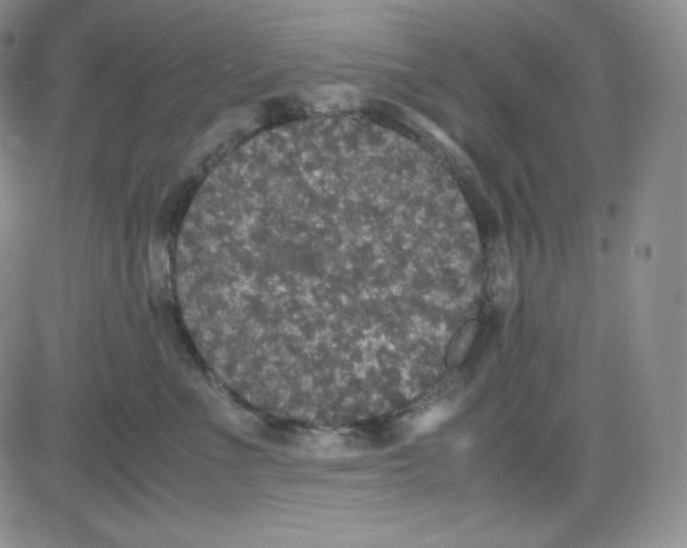 X0000080730523200701051102