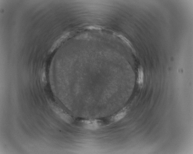 X0000080730524200701051102