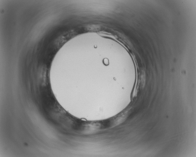 X0000080730525200701051102