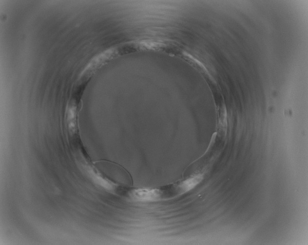 X0000080730526200701051102