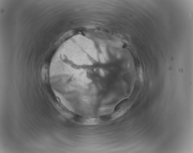 X0000080730527200701051102