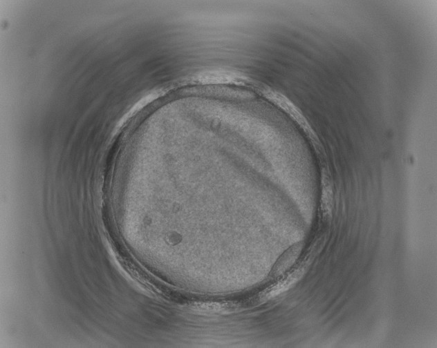 X0000080730530200701051101