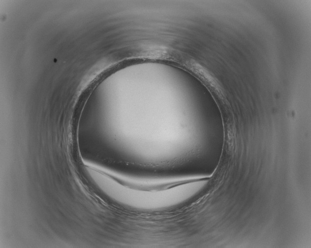 X0000080730532200701051101