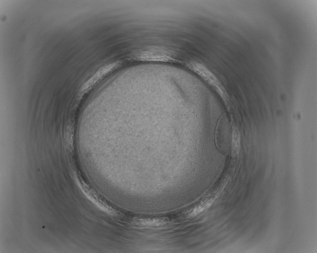 X0000080730533200701051101