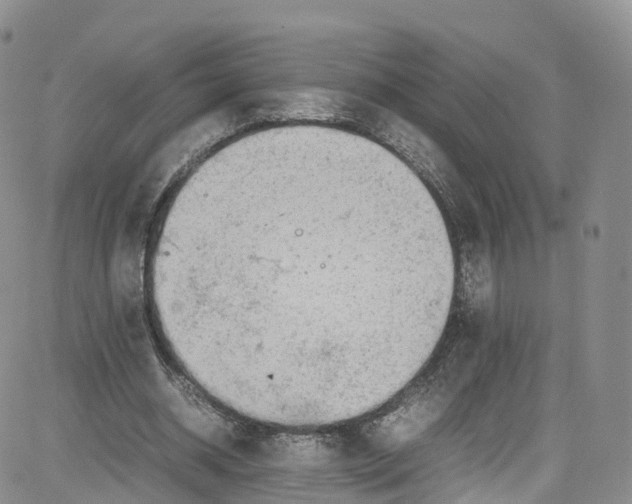 X0000080730534200701051101