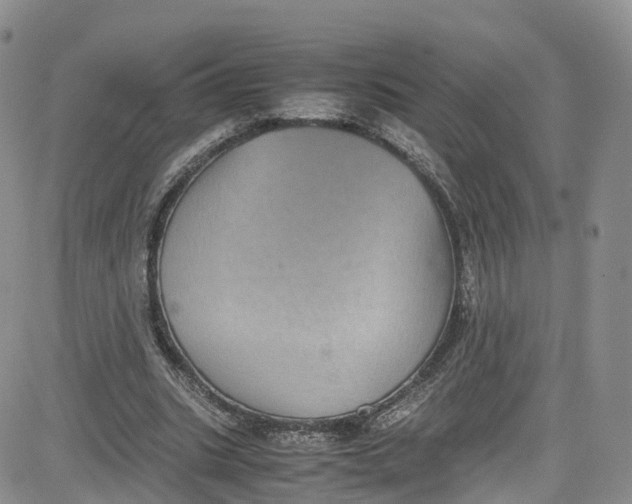 X0000080730535200701051101