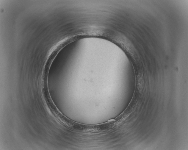 X0000080730536200701051101