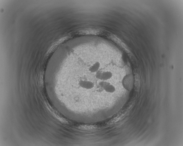 X0000080730537200701051101