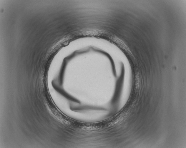 X0000080730538200701051101