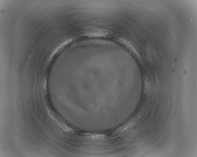 X0000080730539200701051101