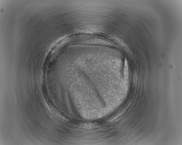 X0000080730540200701051101