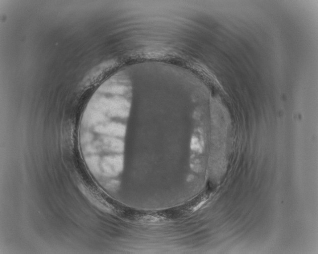 X0000080730542200701051101