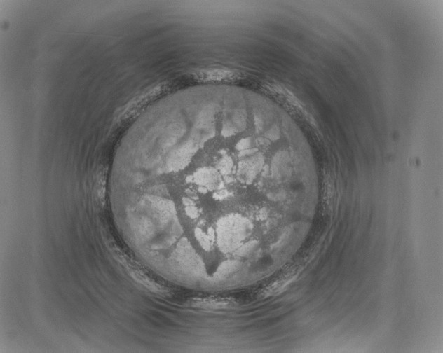 X0000080730545200701051101