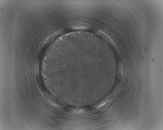 X0000080730547200701051101