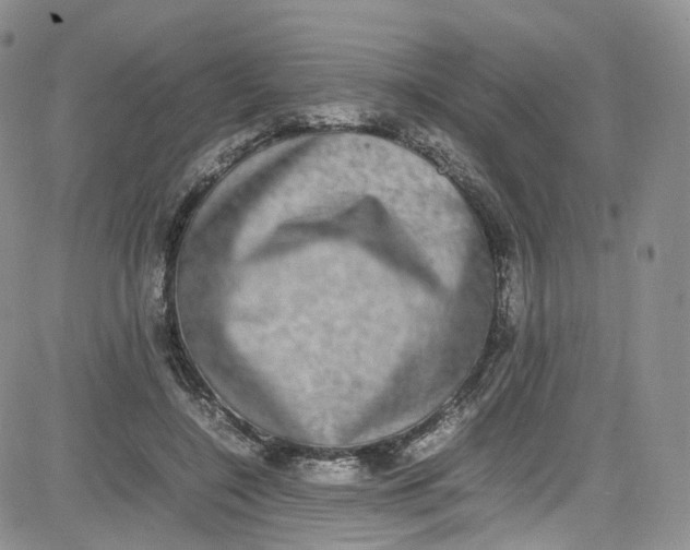 X0000080730548200701051101