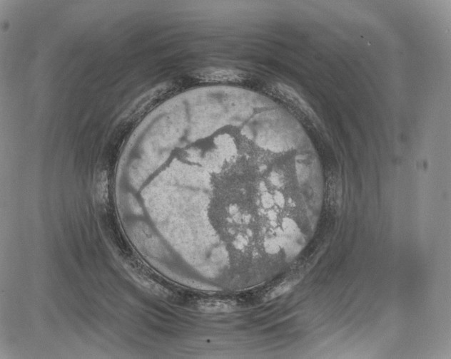 X0000080730549200701051102