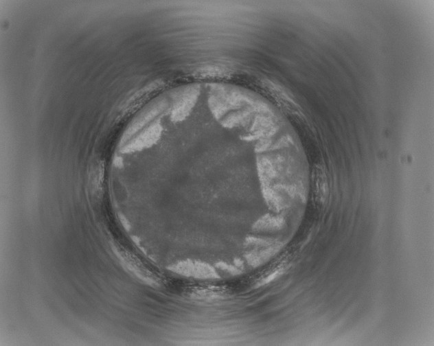 X0000080730550200701051102