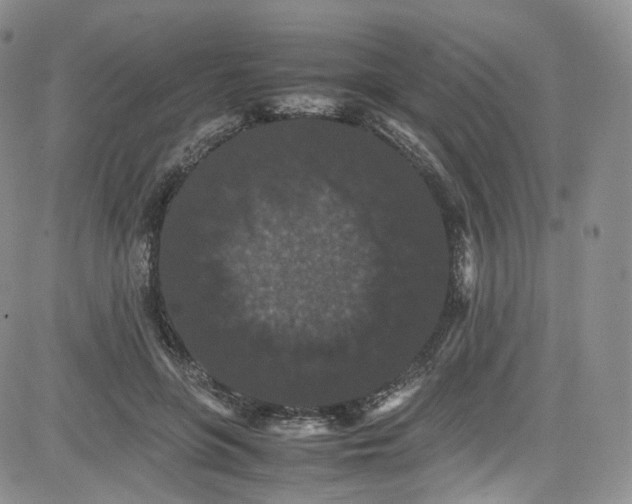 X0000080730551200701051102