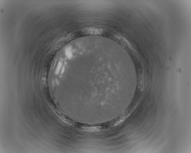 X0000080730553200701051102