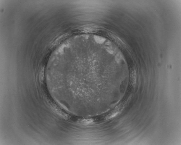 X0000080730554200701051102