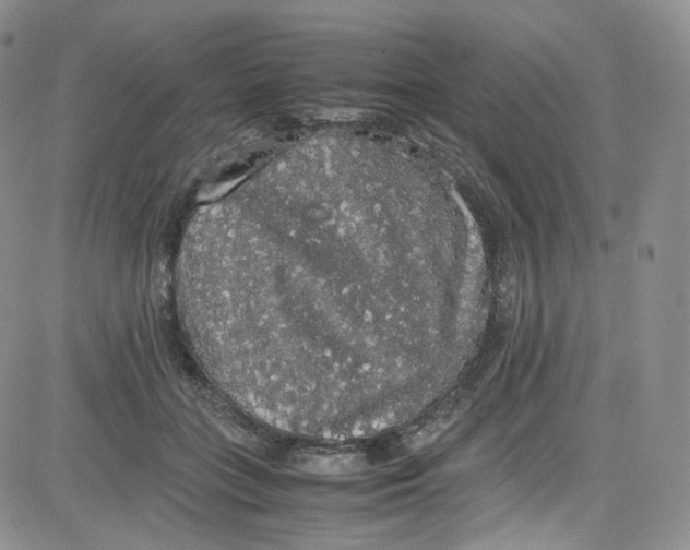 X0000080730555200701051102