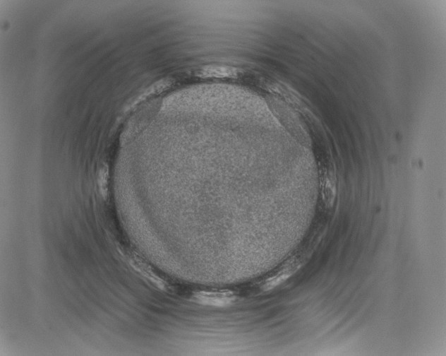 X0000080730556200701051102