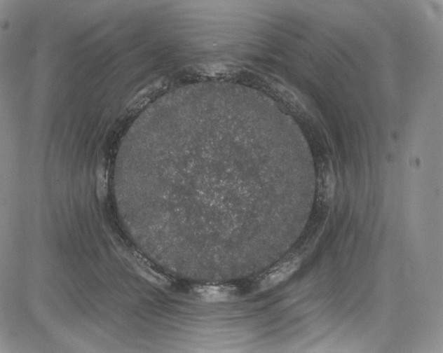 X0000080730558200701051102