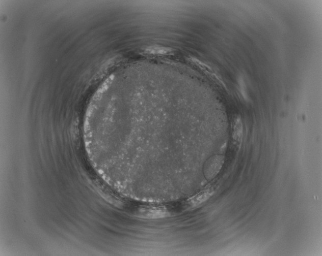 X0000080730559200701051102