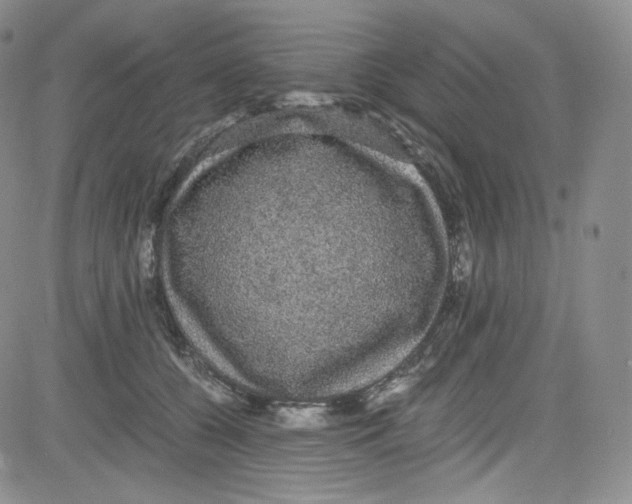 X0000080730560200701051102