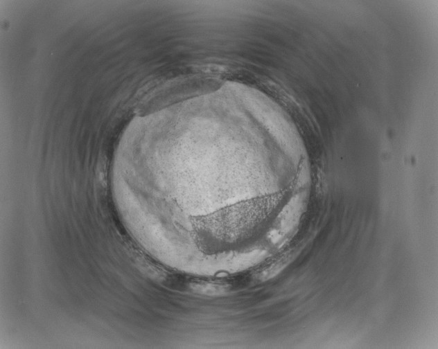 X0000080730561200701051102