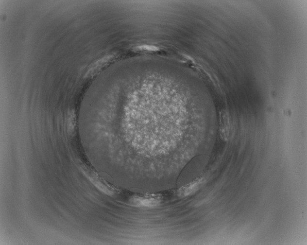 X0000080730563200701051102