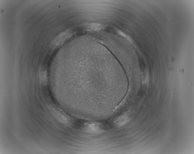 X0000080730564200701051102