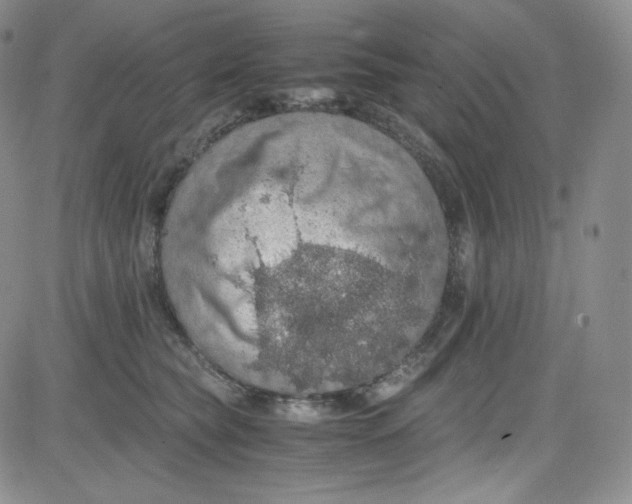 X0000080730565200701051102