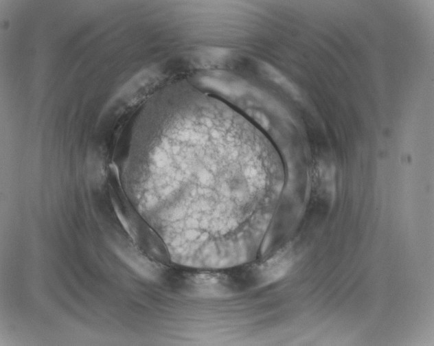 X0000080730566200701051102